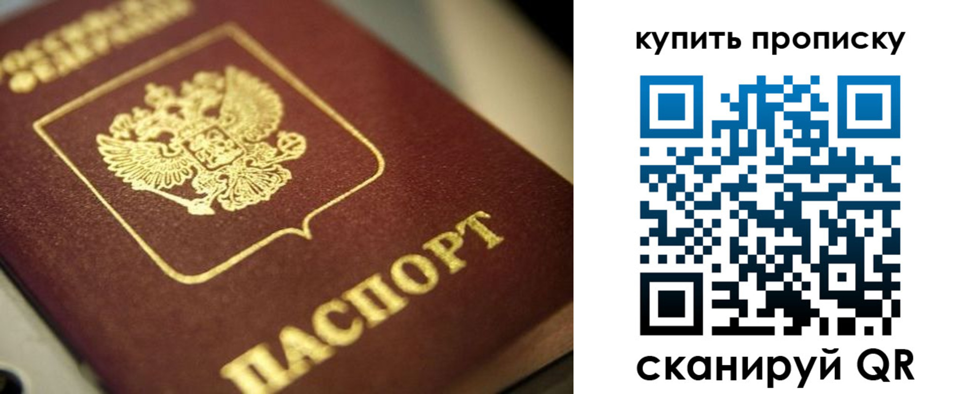 прописка поиск в Боготоле